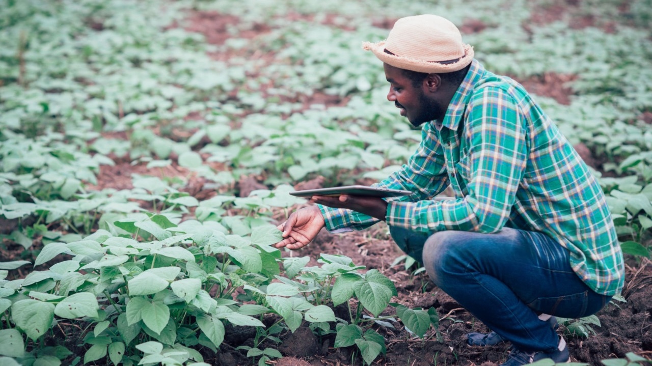 AI in Agriculture: Linkbridge’s Financing for Climate-Resilient Farms